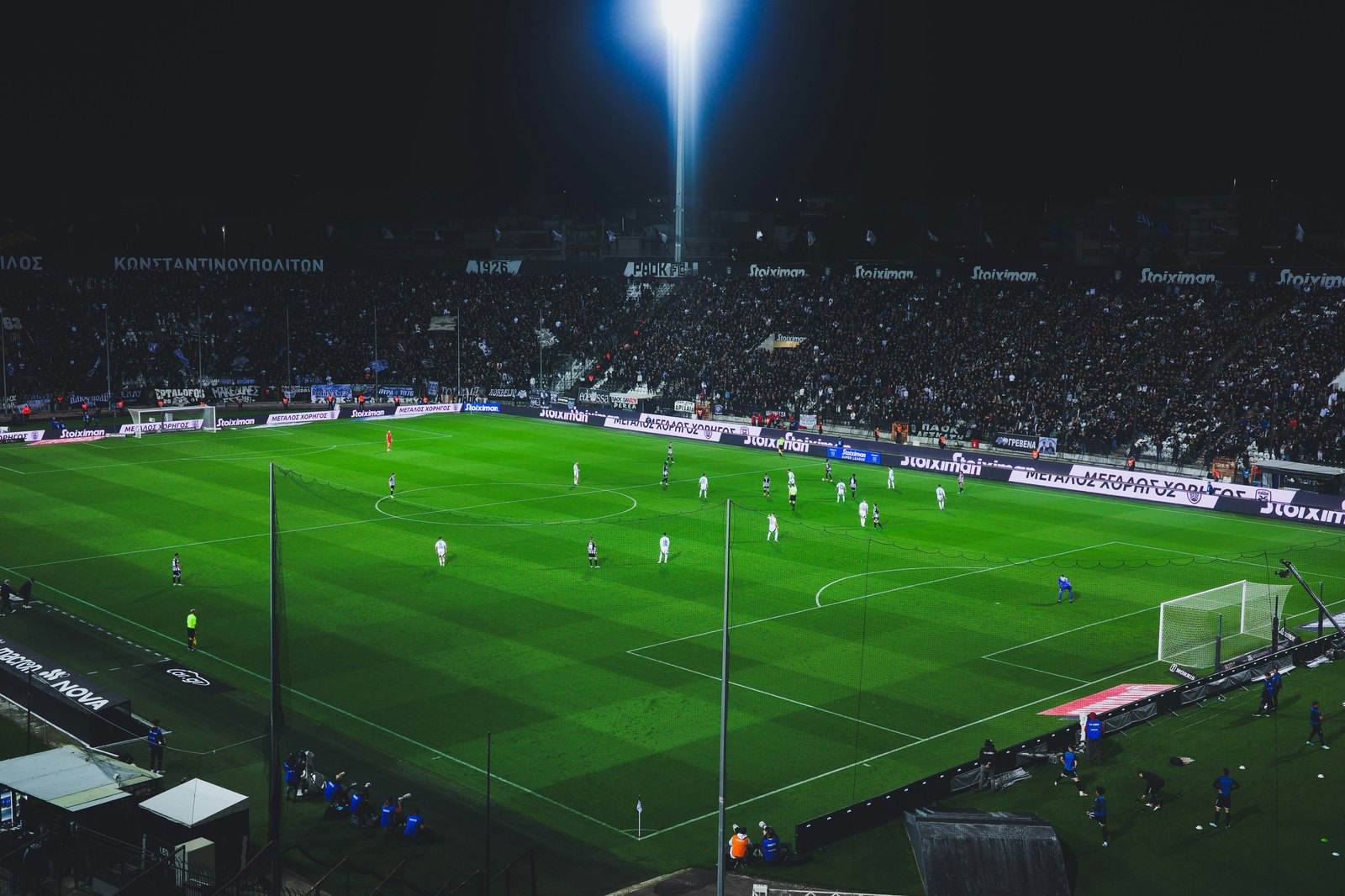 NBA买球网站 阅读体验配图